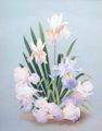 Irises
(22.06.2001; oil on hardboard; 60x40 cm)
Anna Zinkovsky