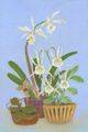 Orchids
(18.03.2004; oil on hardboard; 30x20 cm)
Anna Zinkovsky