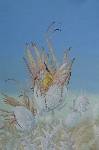 Flowering of birds (variant)
(20.02.2023; oil on hardboard; 45x30 cm)
Anna Zinkovsky